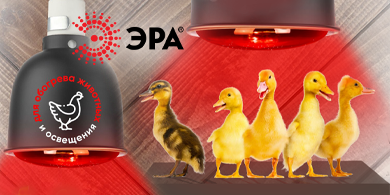 Новинка от ЭРА: ИК-лампа для животных со сниженной температурой нагрева цоколя и уменьшенной колбой