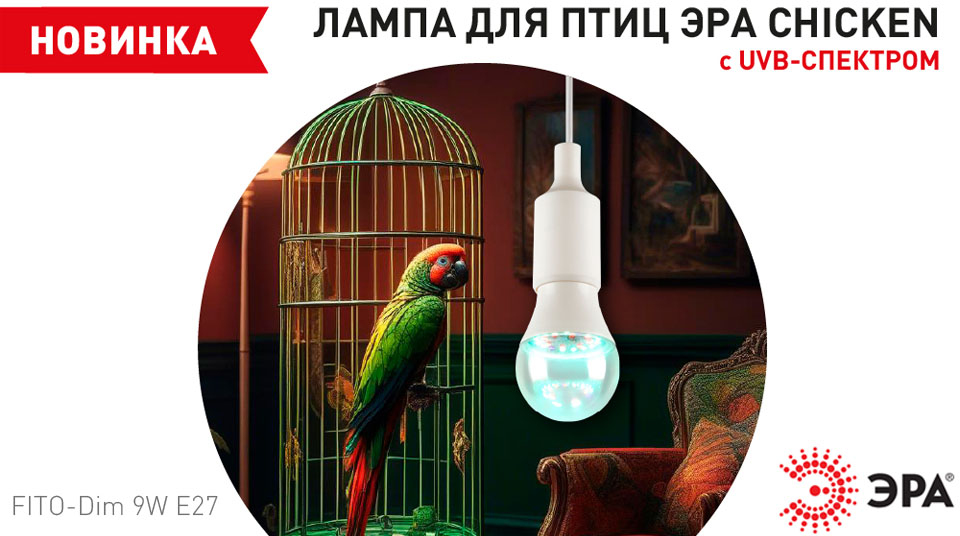 Новость Лампа FITO-Dim Chicken от ЭРА со специальным спектром для здоровья птиц.jpg