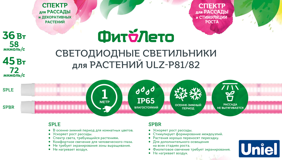 Новость Новые фитосветильники ULZ-P81 и ULZ-P82 от Uniel итог.png